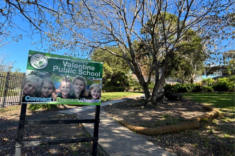 Trees and welcome to Valentine public school sign